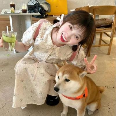 我爱古诗词第三季