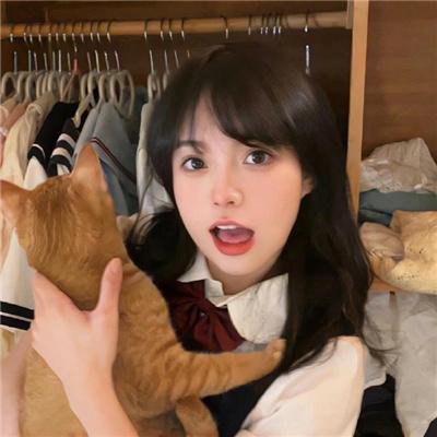 乡村检察官